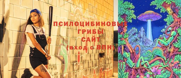 первитин Белоозёрский